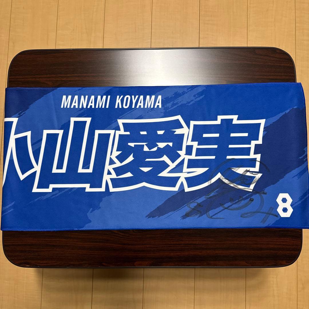 【計10点セット】 東レアローズ滋賀 グッズ 小山愛実 他多数 女子バレー