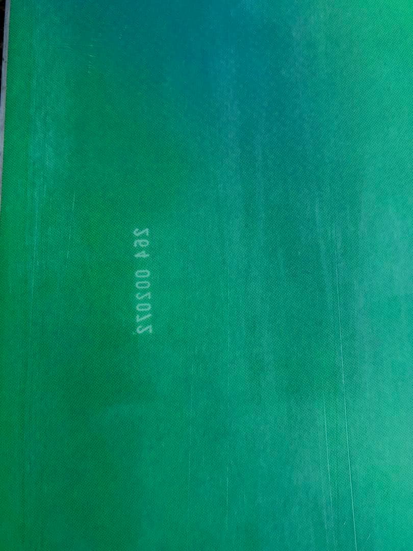 バートン スノーボード FL project 157cm