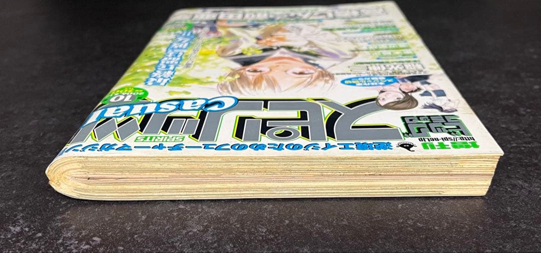●ビッグコミックスピリッツcasual 2006年 第10弾 ●最終兵器彼女