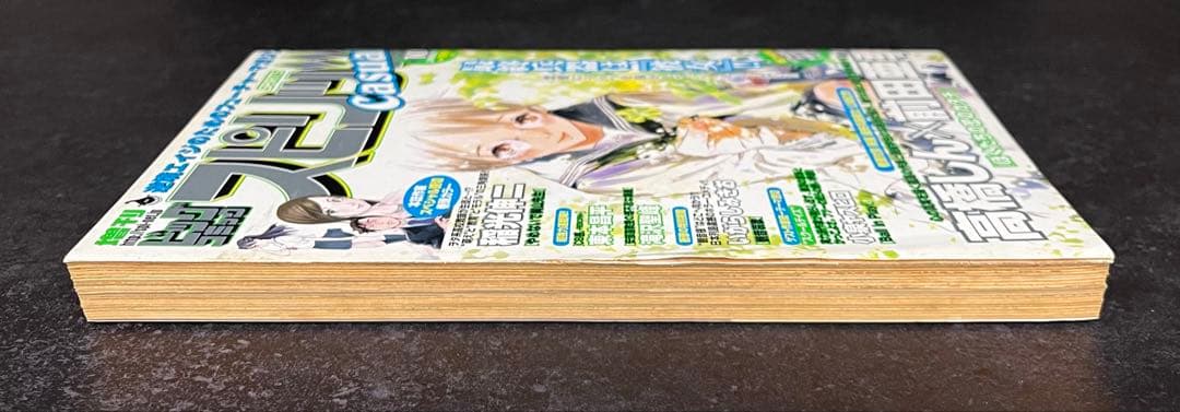 ●ビッグコミックスピリッツcasual 2006年 第10弾 ●最終兵器彼女