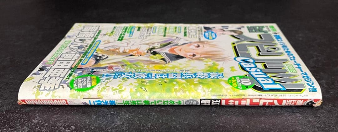 ●ビッグコミックスピリッツcasual 2006年 第10弾 ●最終兵器彼女