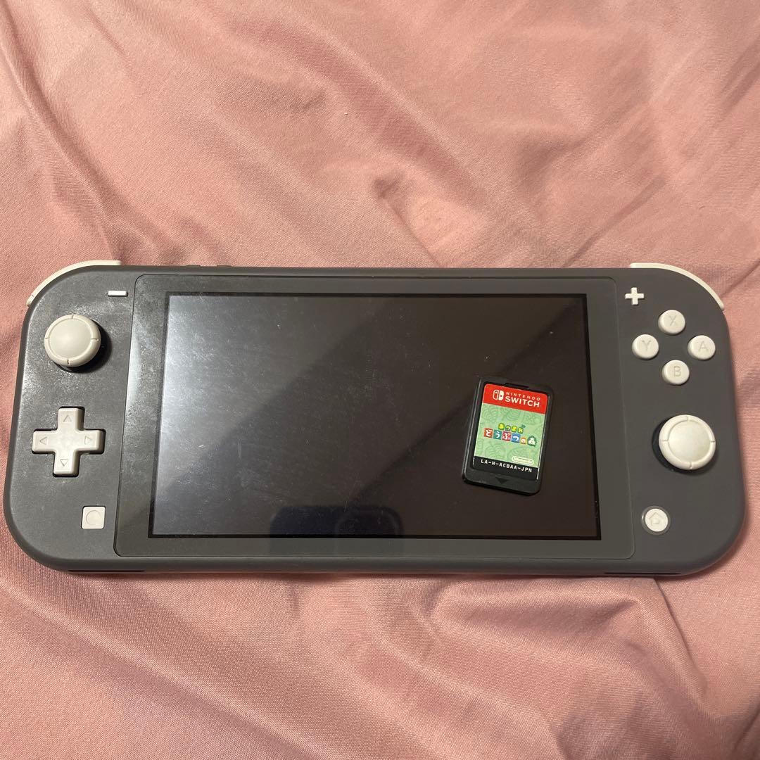 (最終お値下げ)Switch ライト グレーカラー