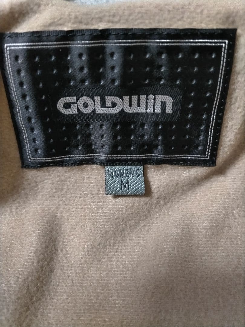 GOLDWIN スキーウェア　スノーボードウェア 女性用 Mサイズゴールドウィン