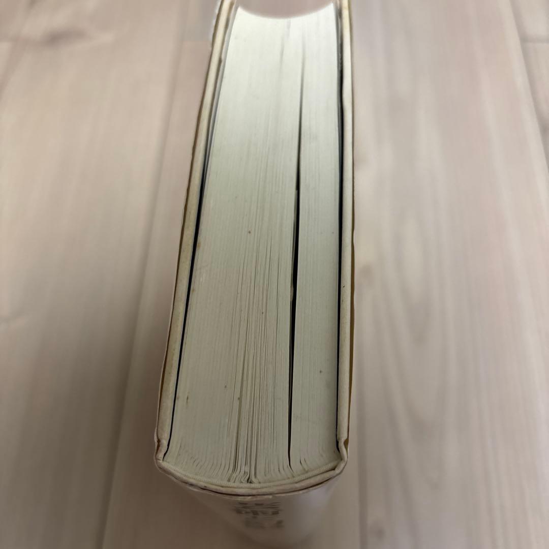 『芸術と幻影』E. H. ゴンブリッチ(美術名著選書 22)