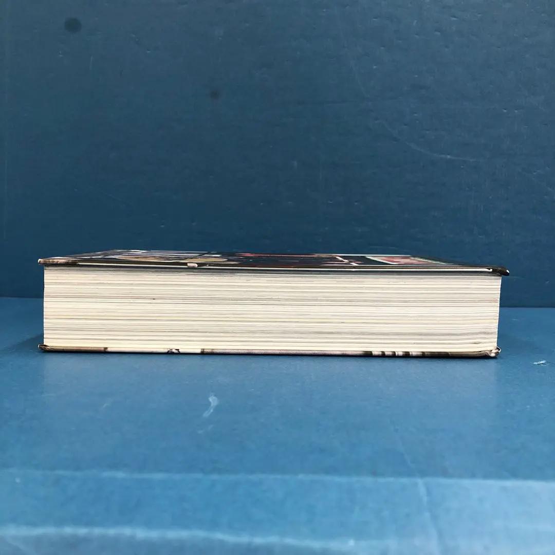 D2977 Beastie Boys Book ビースティボーイズ ブック洋書