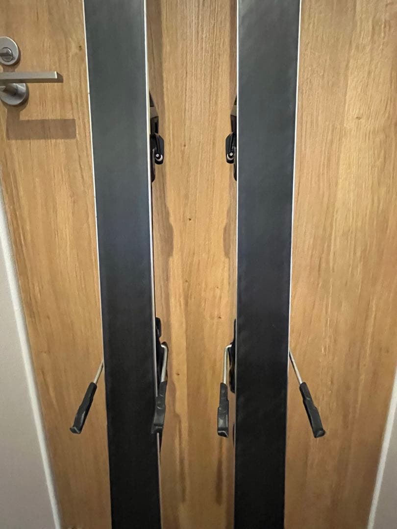 スキー ChachaFISCHER RC4 WORLDCUP GS MEN