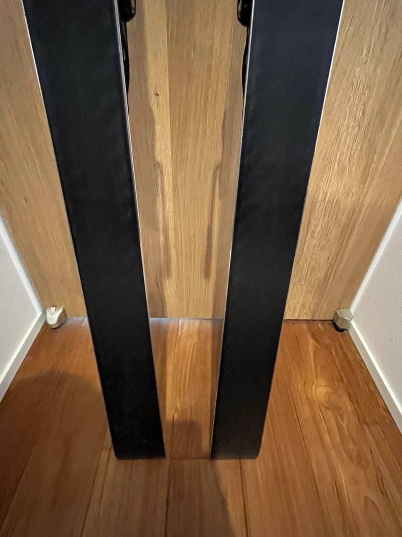 スキー ChachaFISCHER RC4 WORLDCUP GS MEN