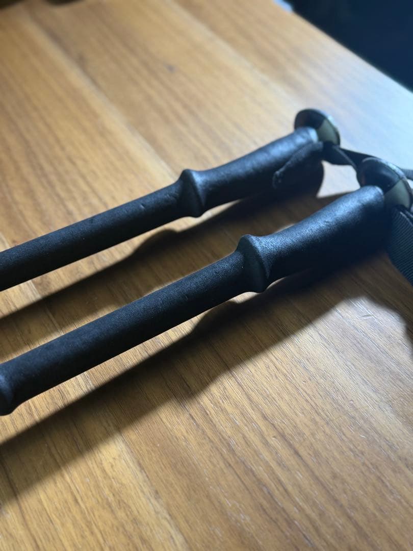  伸縮式スキーストック ポール Expedition3