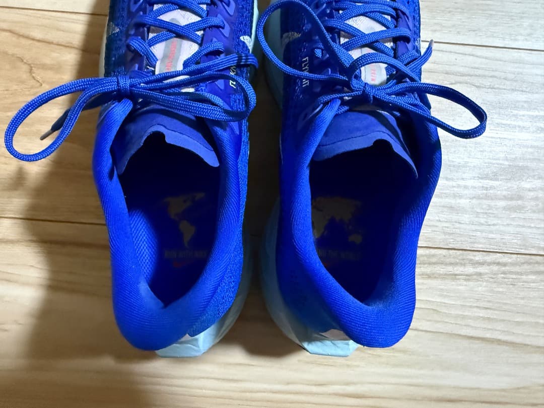 ナイキ　ペガサス　プラス　25.5cm