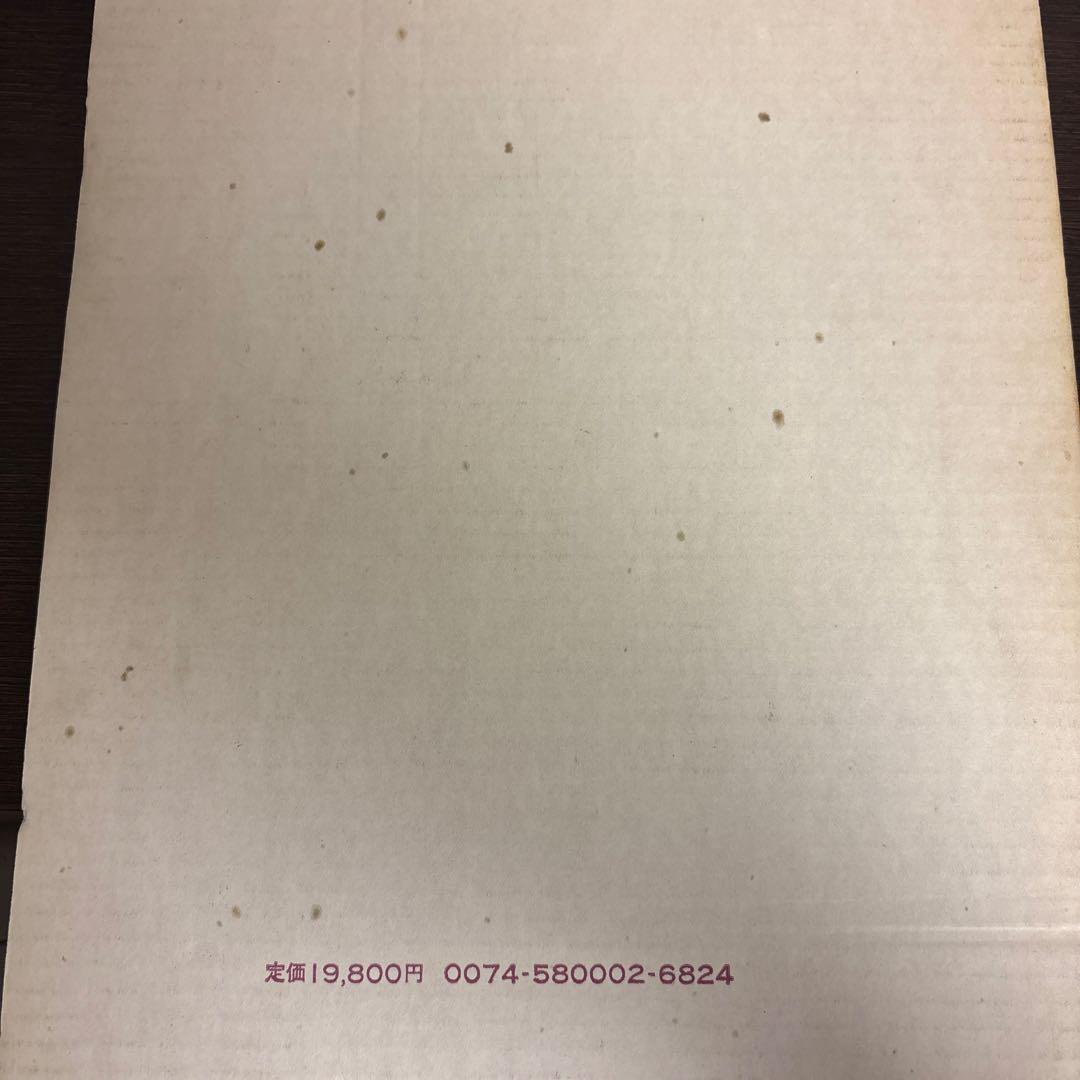 イングリッド・バーグマン　INGRID BERGMAN 写真集【大型本】