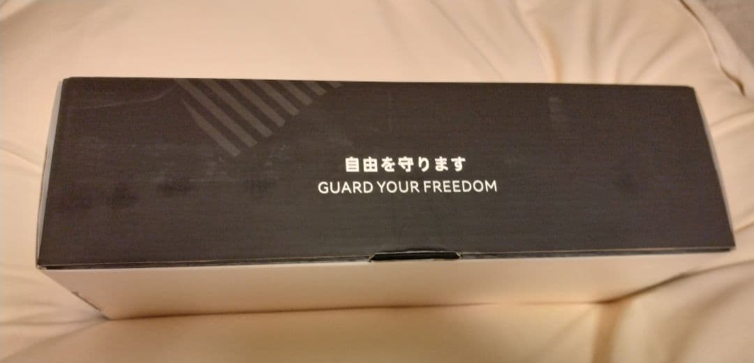 電熱グローブ新品、アイロンジャス、IRONJIAS、送料込み、最新版、XL