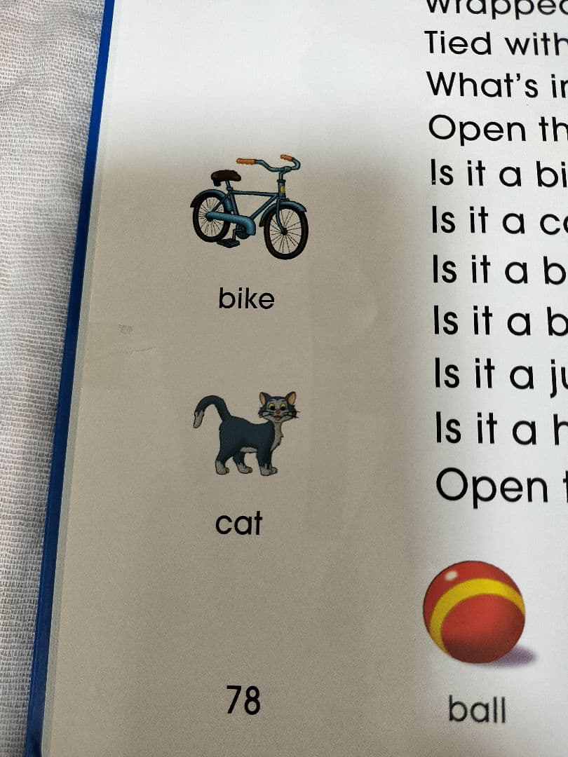 【DWE】本、DVD、CD　シングアロング一式　ディズニー英語システム