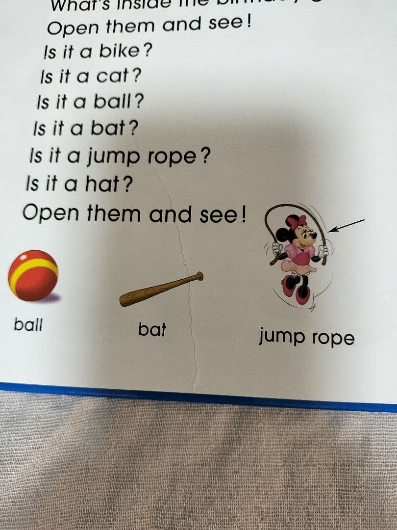 【DWE】本、DVD、CD　シングアロング一式　ディズニー英語システム