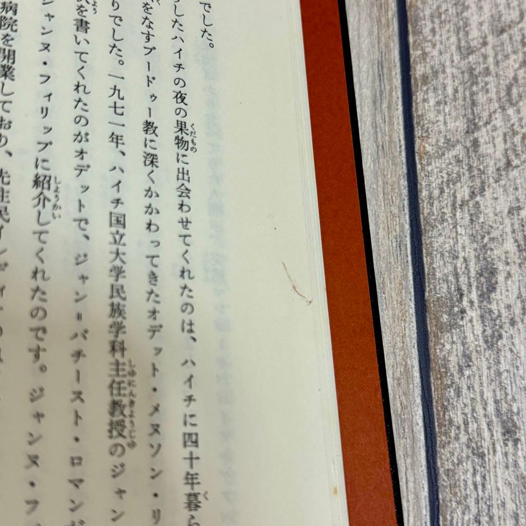 【希少】魔法のオレンジの木