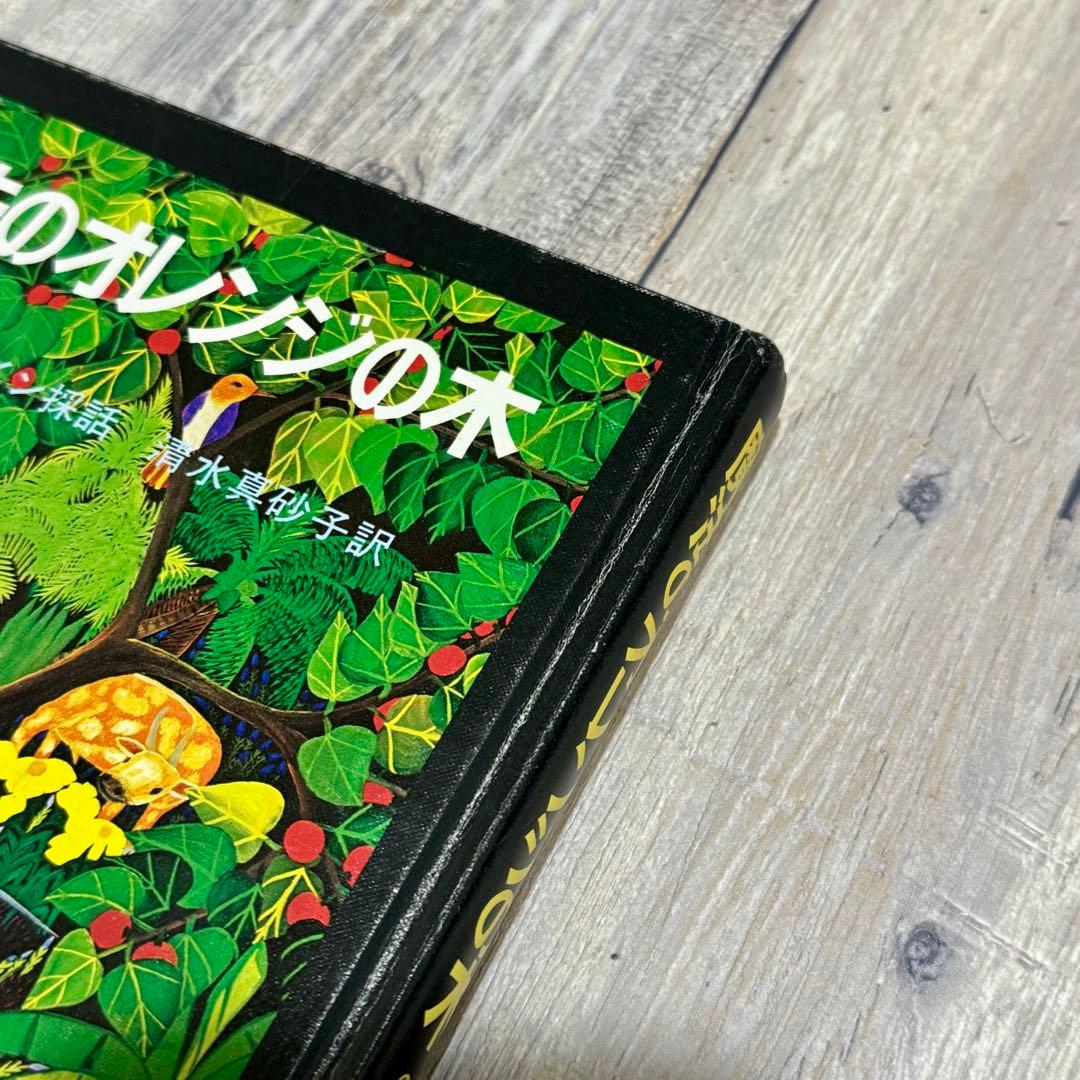 【希少】魔法のオレンジの木