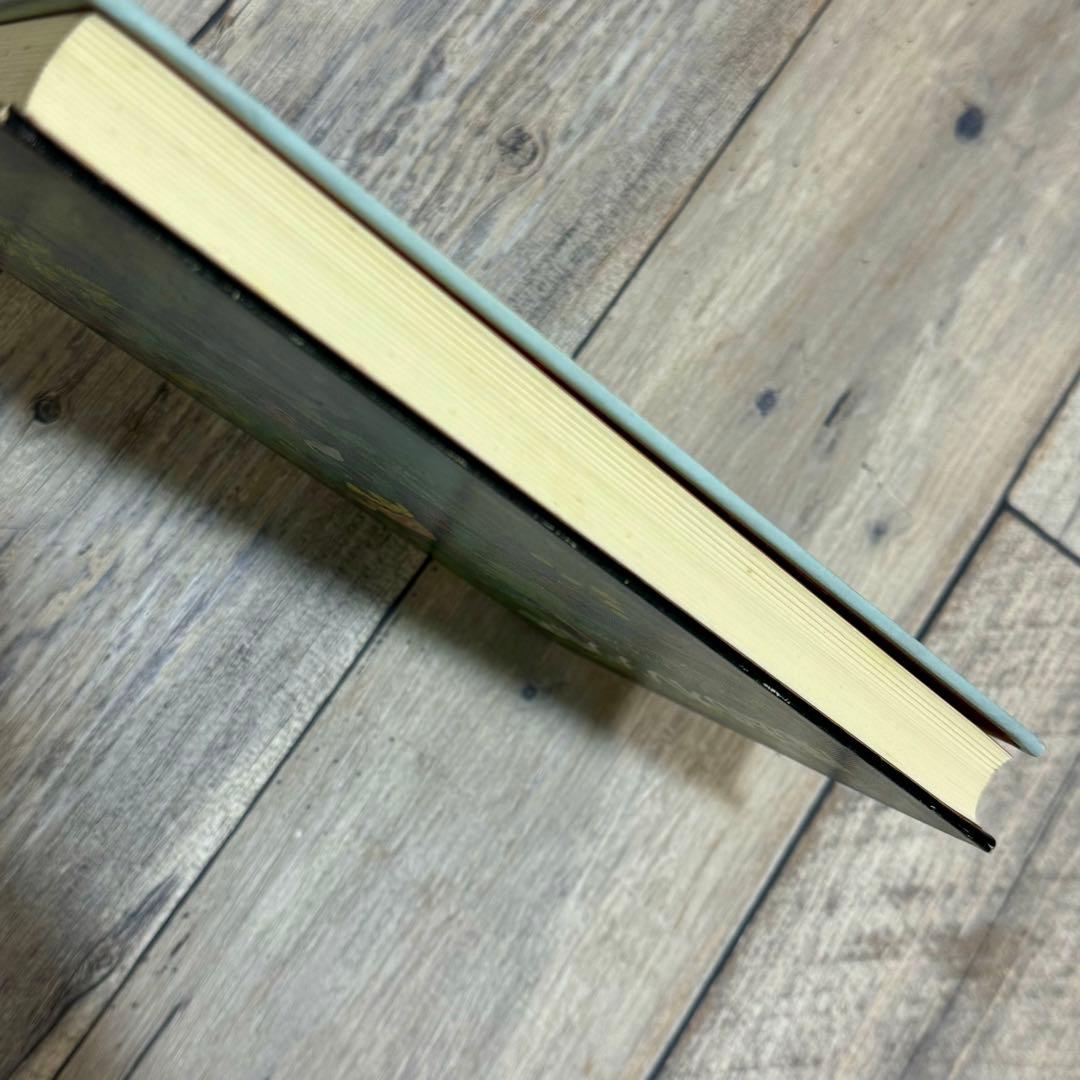 【希少】魔法のオレンジの木