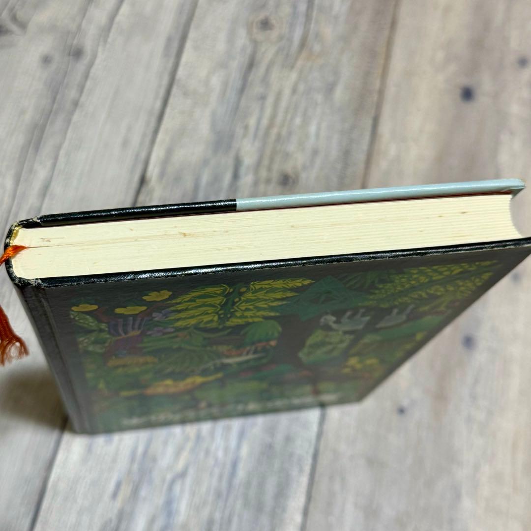 【希少】魔法のオレンジの木