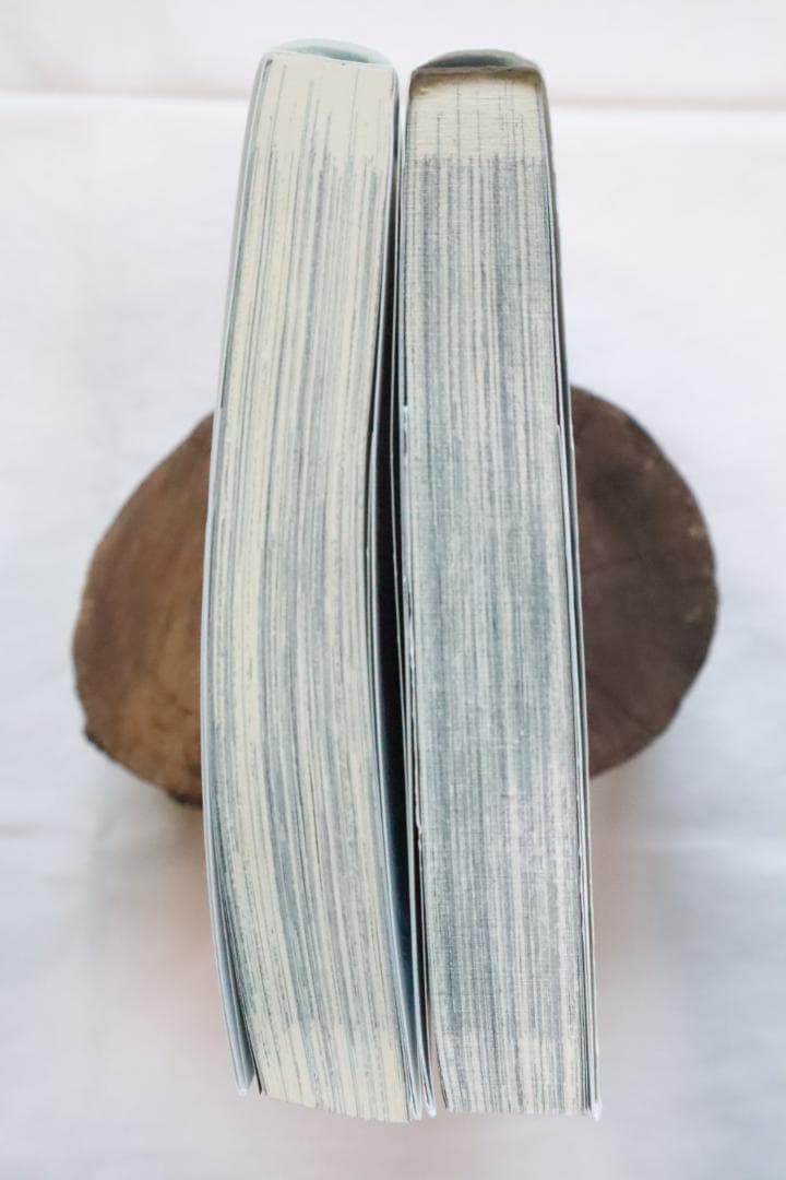 バンパイアハンターD 7,8巻 2冊セット 北海魔行 上下巻 鷹木骰子 菊地秀行