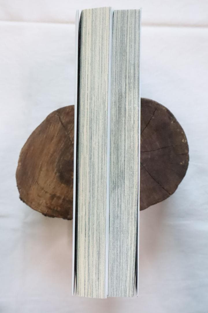 バンパイアハンターD 7,8巻 2冊セット 北海魔行 上下巻 鷹木骰子 菊地秀行