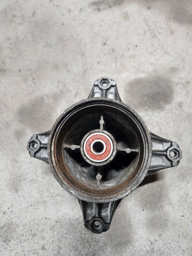 蜂*ク様 モトラ　リアハブ　5.5j　ダックス