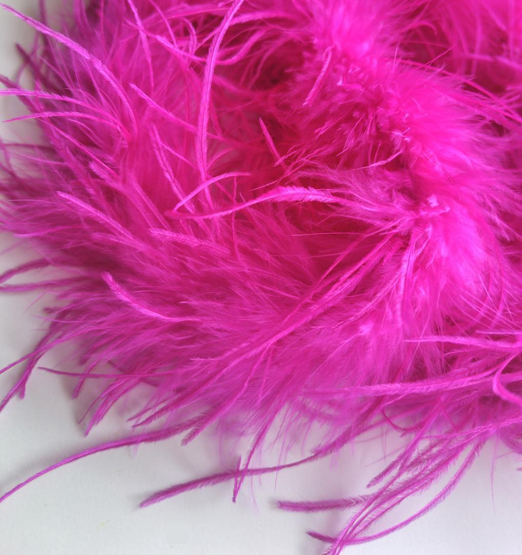 【ツル】3PLY オーストリッチ　黄色