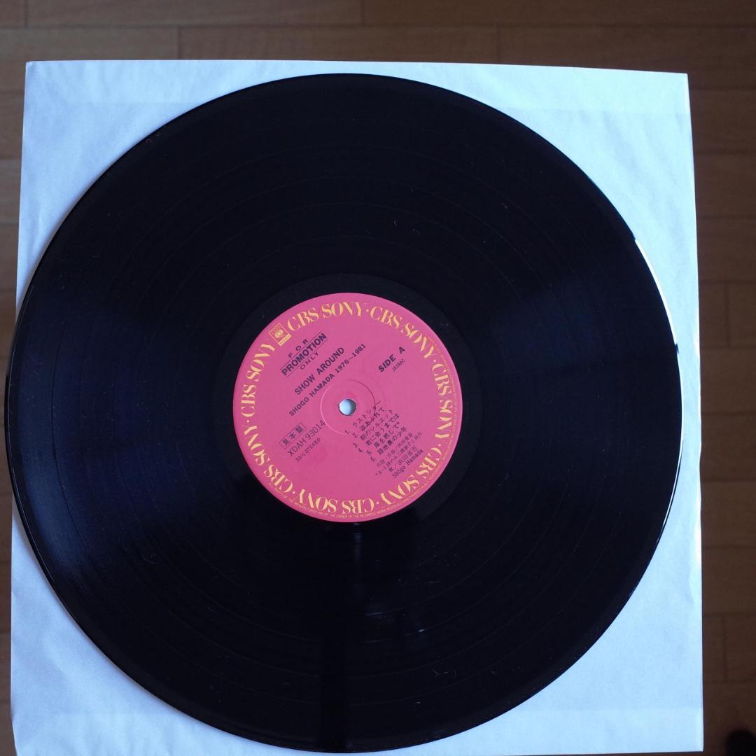 浜田省吾 / SHOW AROUND 【非売品レコード】