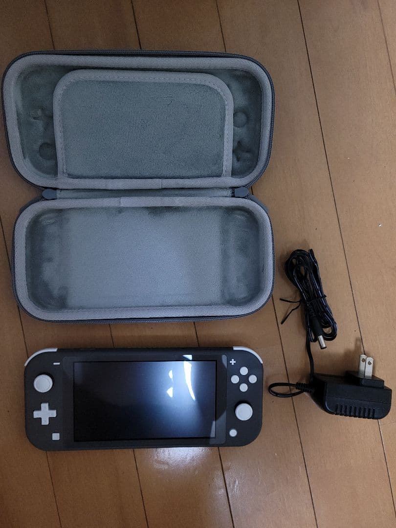 Nintendo Switch Lite 本体 充電器 ケース付き