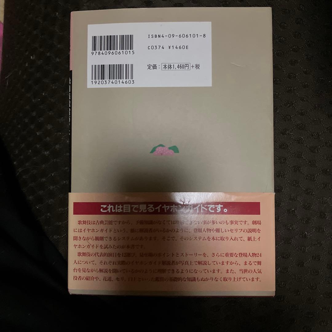 新品　歌舞伎DVD 4巻　ガイド本付　片岡仁左衛門　坂東玉三郎　映画　国宝