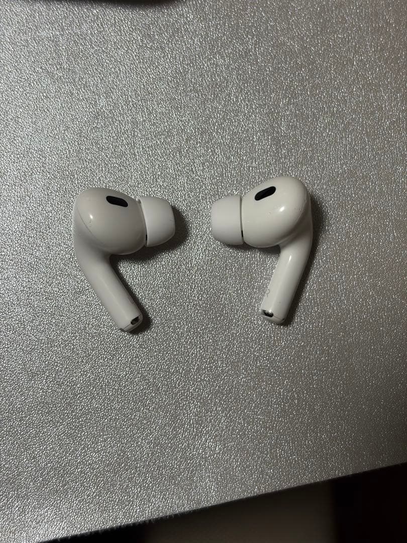 Apple AirPods Pro 本体　usb-c