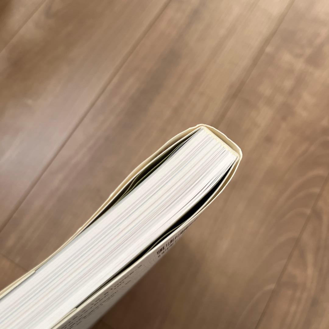 THE ART OF Spirited Away 千と千尋の神隠し 激レア