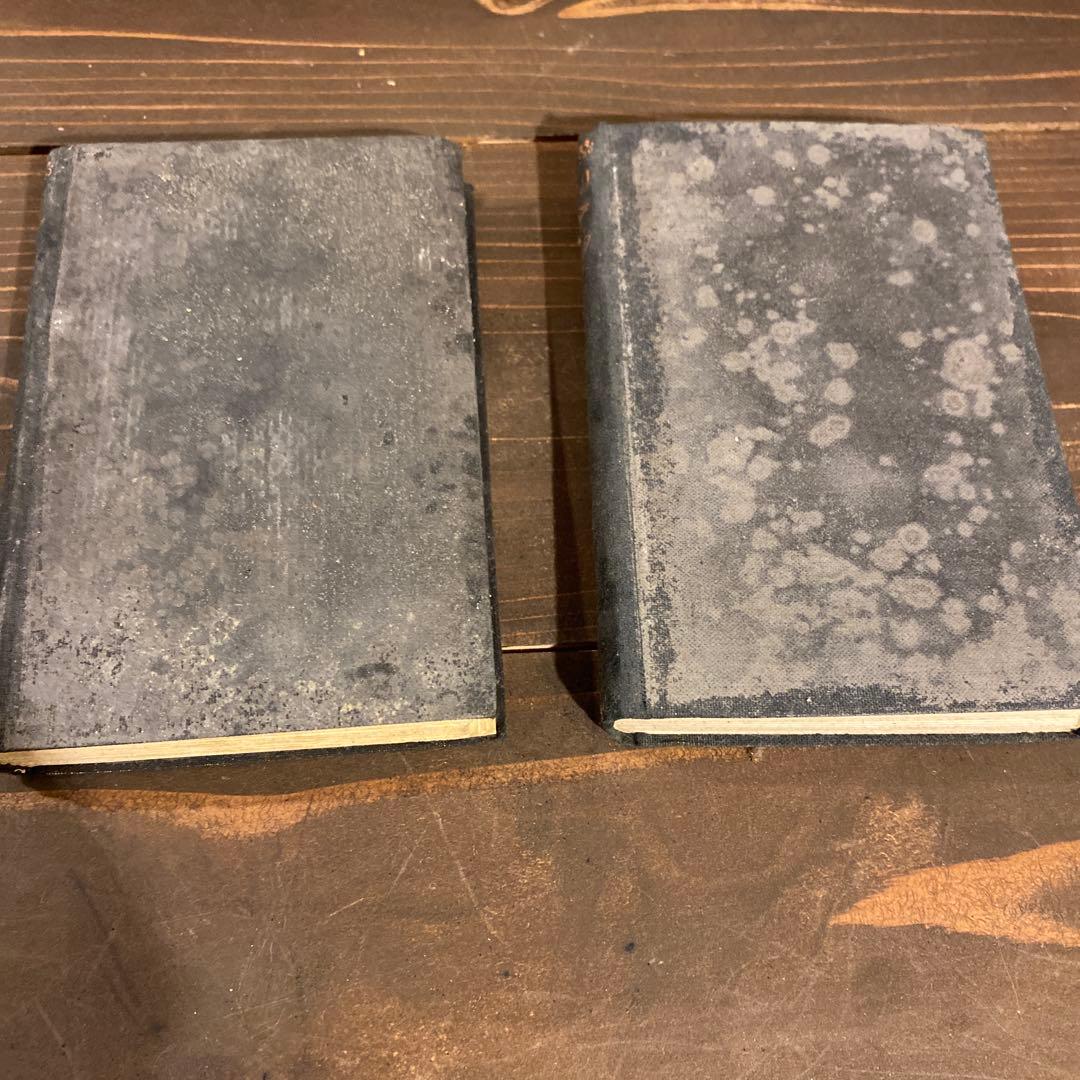 希少　昭和四年発行　ルルウ集　フレッチャ集　戦前本　当時物