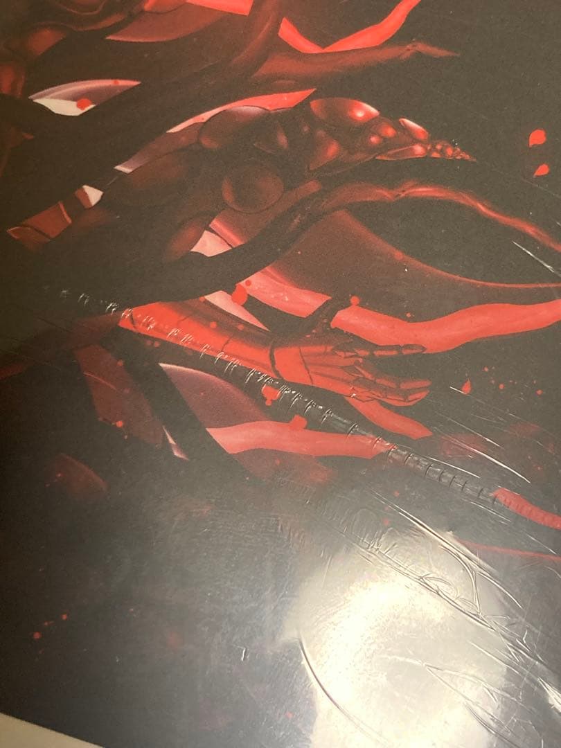 エンダーマグノリア Switch 限定版