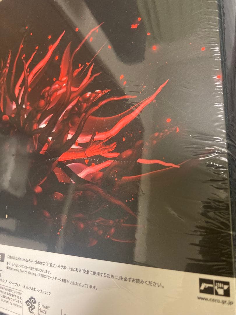 エンダーマグノリア Switch 限定版