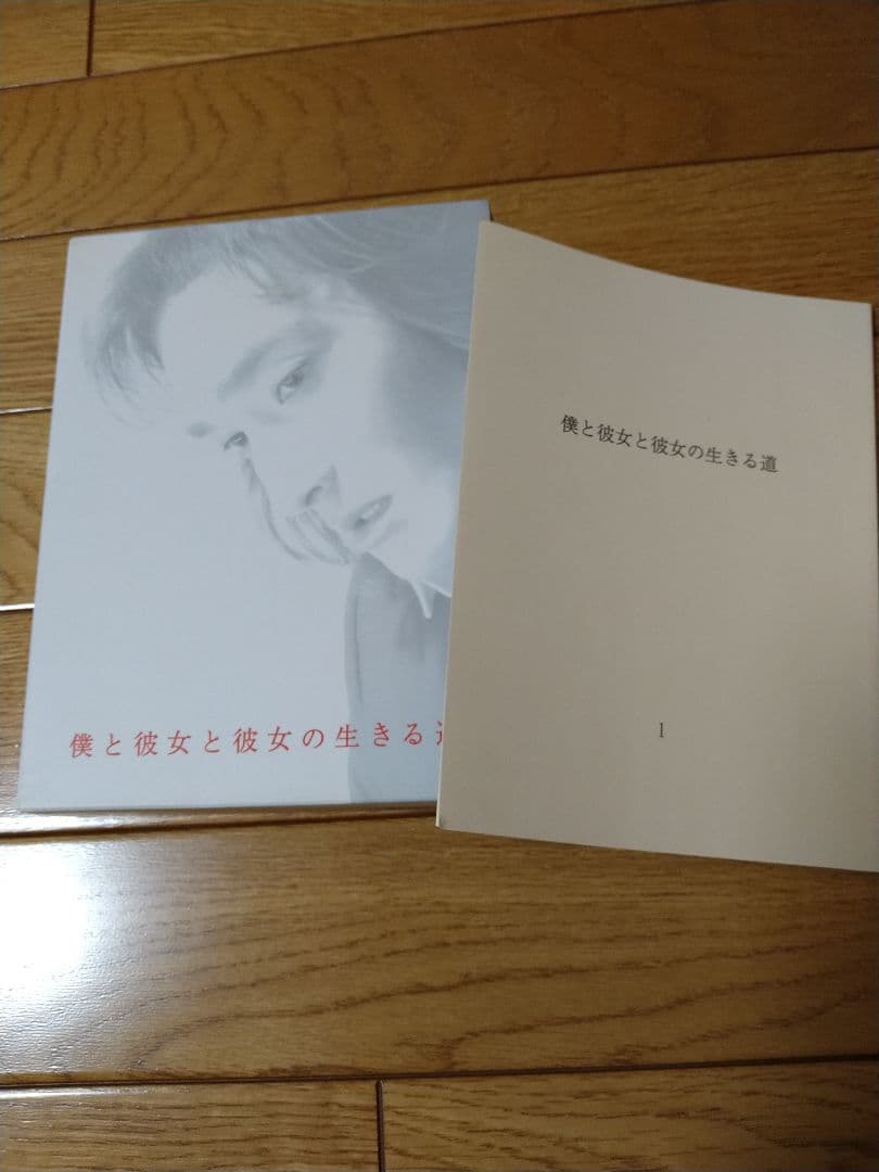 僕と彼女と彼女の生きる道 DVD-BOX〈5枚組〉