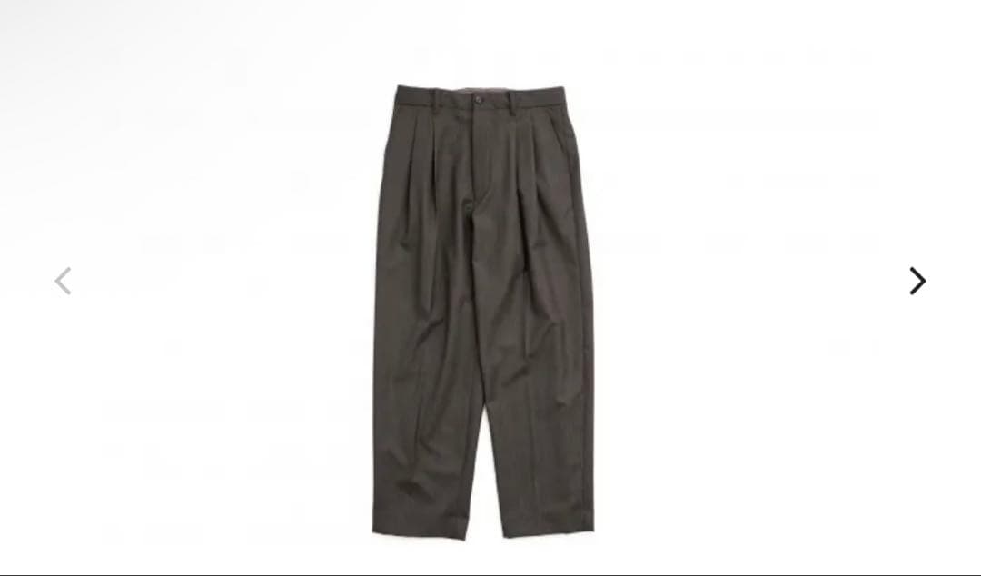 パンツ stein / EX WIDE TAPERED TROUSERS(BROWN)