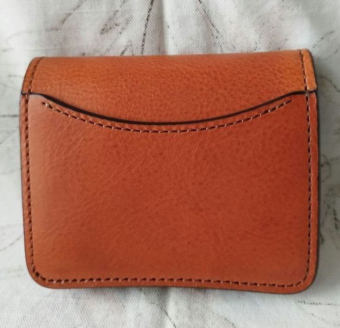 超希少【新品旧ロゴ】ワイルドスワンズ ミネルバボックス×サドル パーム オルモ