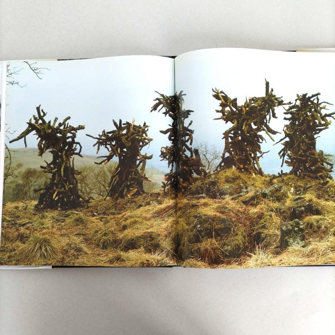 アート・デザイン・音楽 ANDY GOLDSWORTHY:A Collabo With Nature