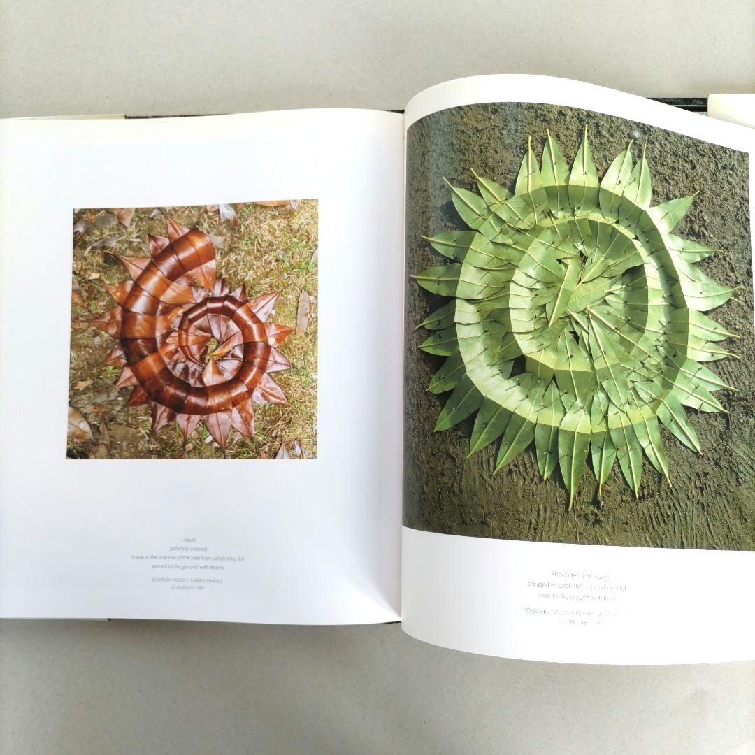 アート・デザイン・音楽 ANDY GOLDSWORTHY:A Collabo With Nature