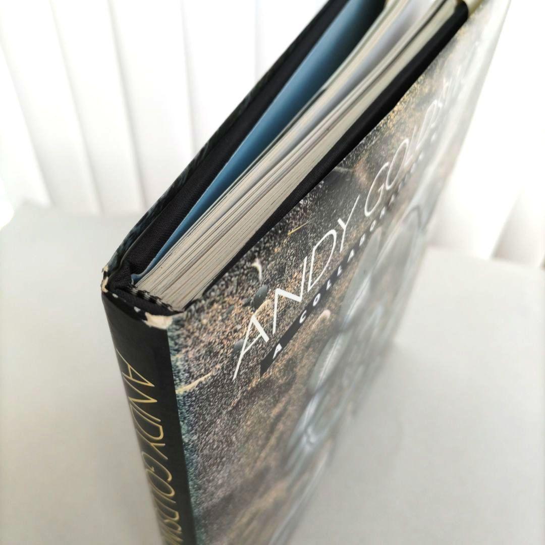 アート・デザイン・音楽 ANDY GOLDSWORTHY:A Collabo With Nature