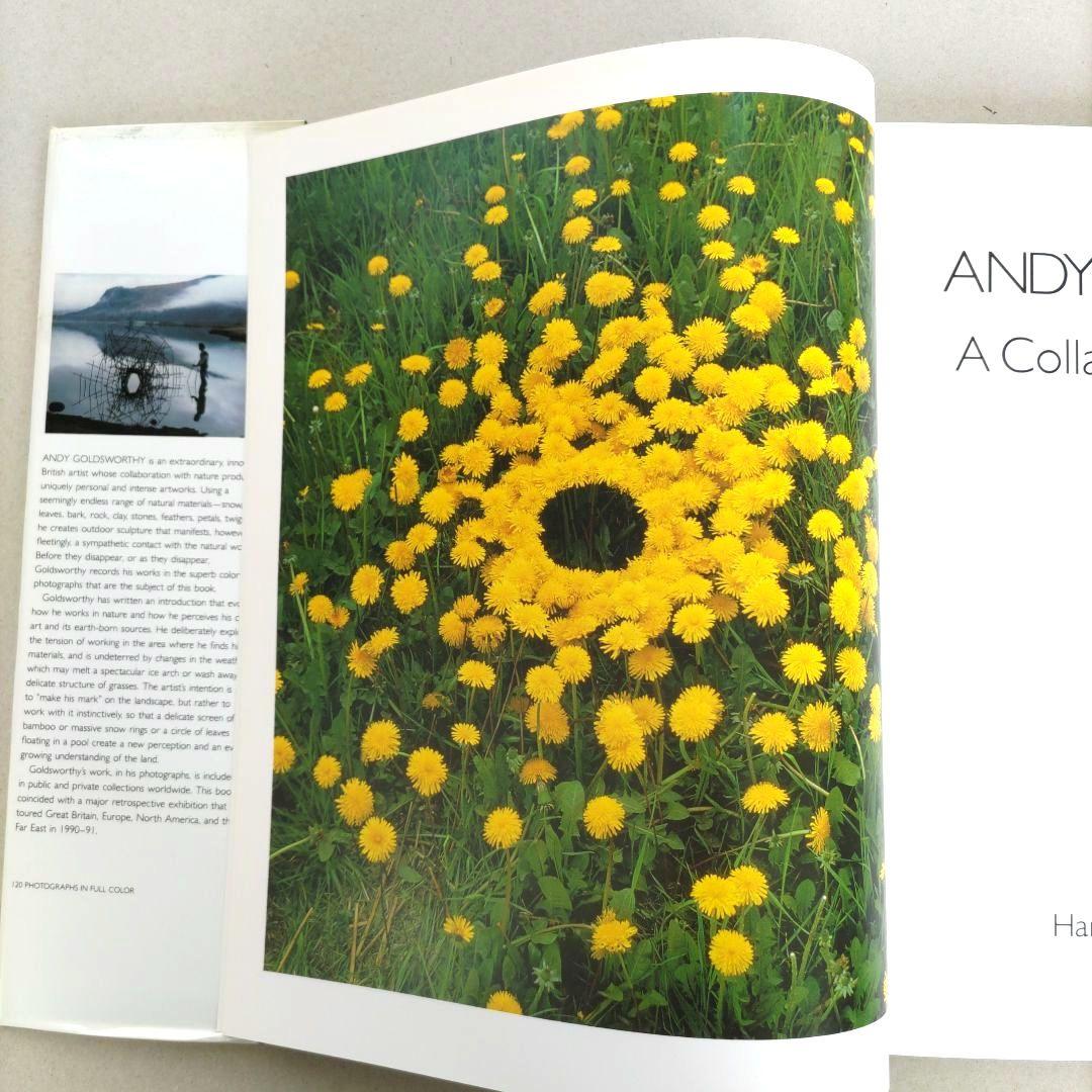 アート・デザイン・音楽 ANDY GOLDSWORTHY:A Collabo With Nature