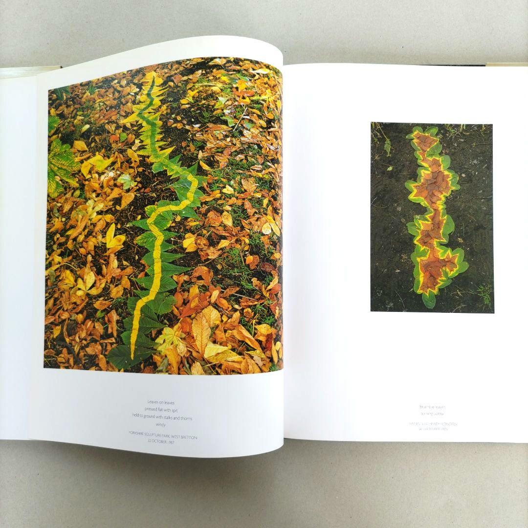 アート・デザイン・音楽 ANDY GOLDSWORTHY:A Collabo With Nature