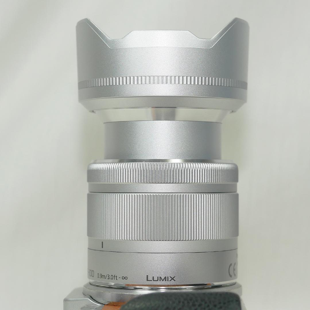 レンズ(ズーム) Panasonic G VARIO 35-100mm H-FS35100