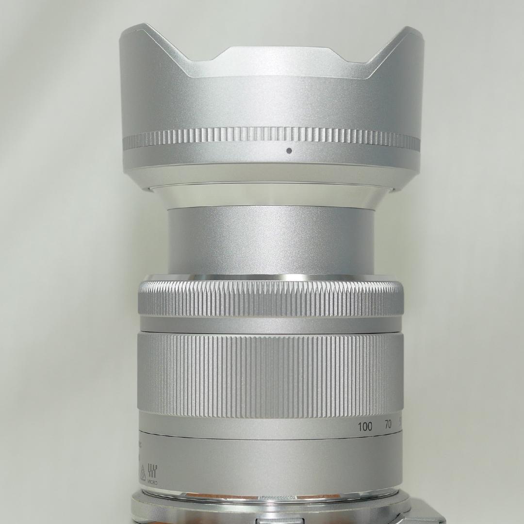 レンズ(ズーム) Panasonic G VARIO 35-100mm H-FS35100