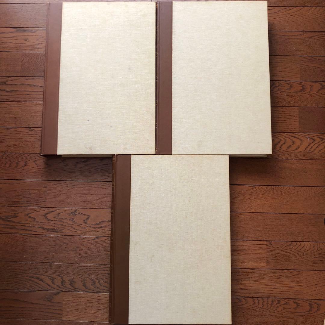 ミケランジェロ素描全集3巻