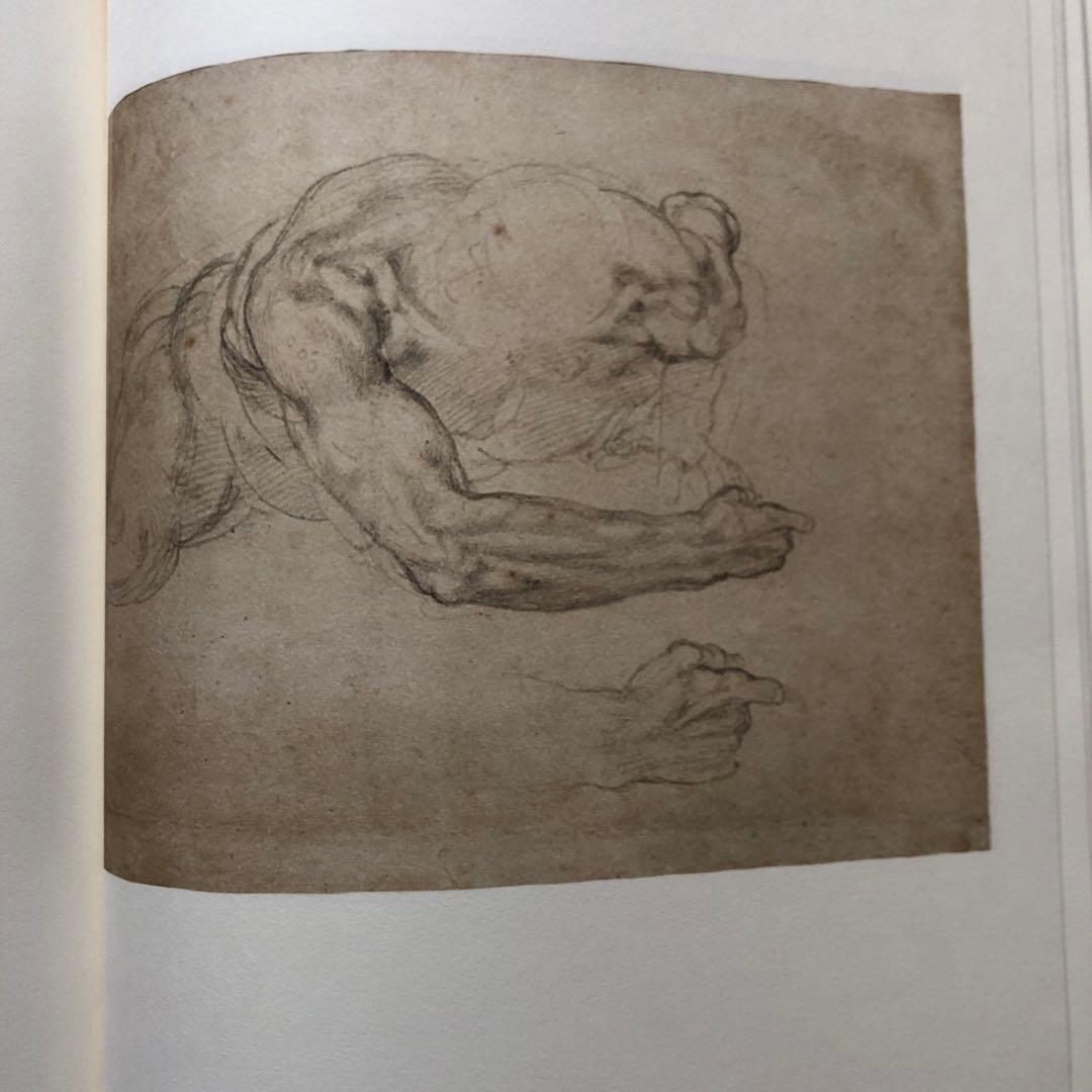 ミケランジェロ素描全集3巻