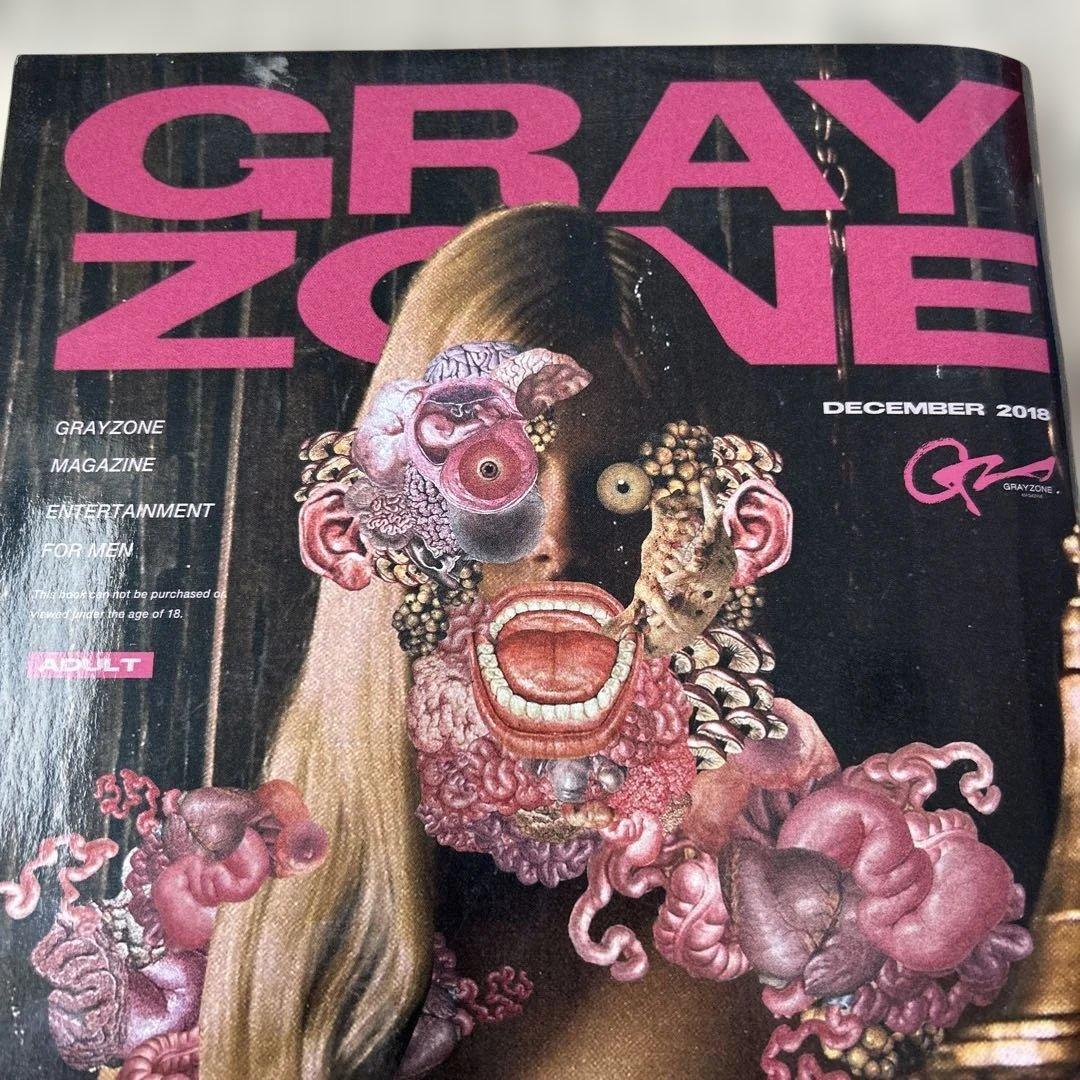アート・デザイン・音楽 GREY ZONE MAGAZINE 2018 DECEMBER