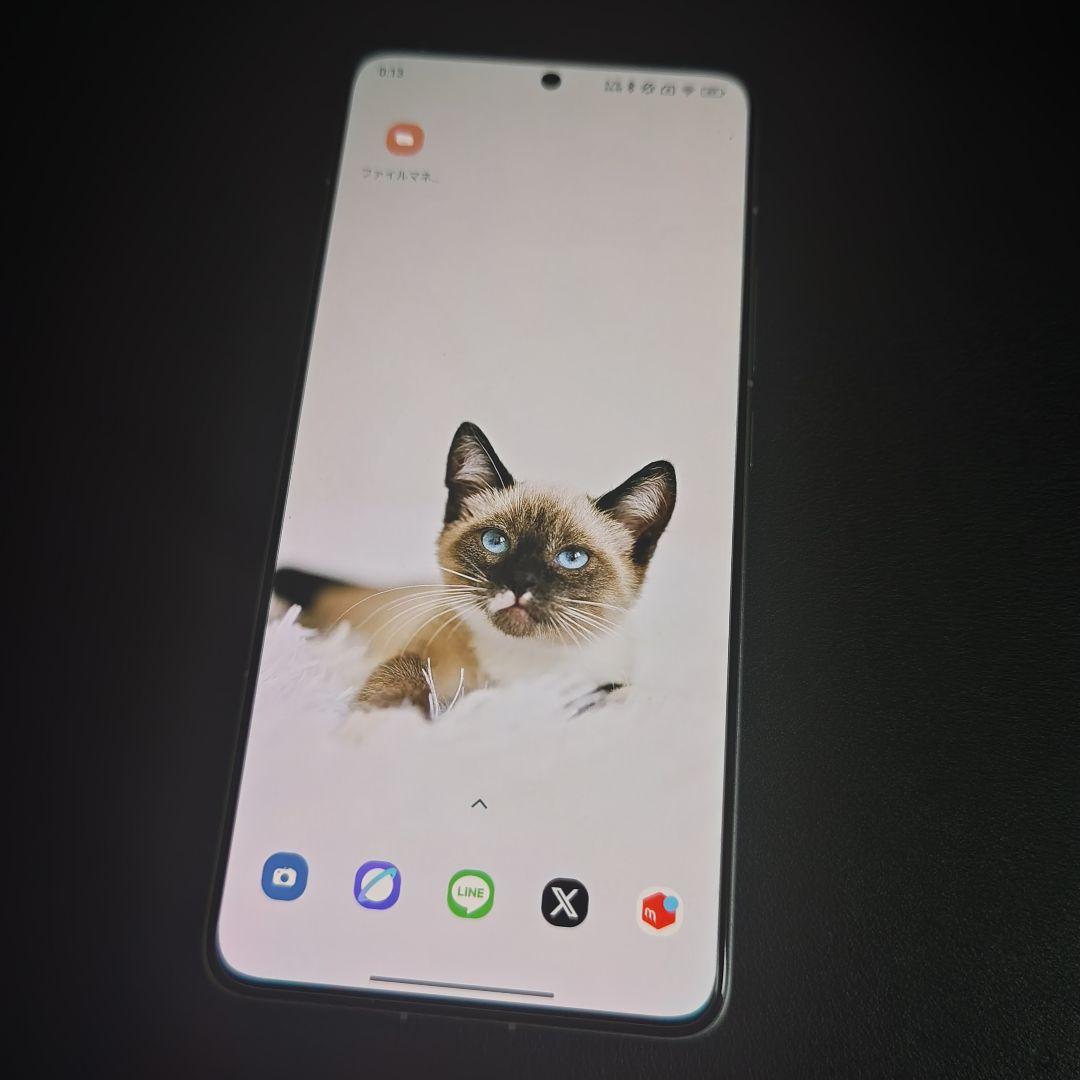 緑*茶様 【訳あり】Xiaomi POCO F6 PRO