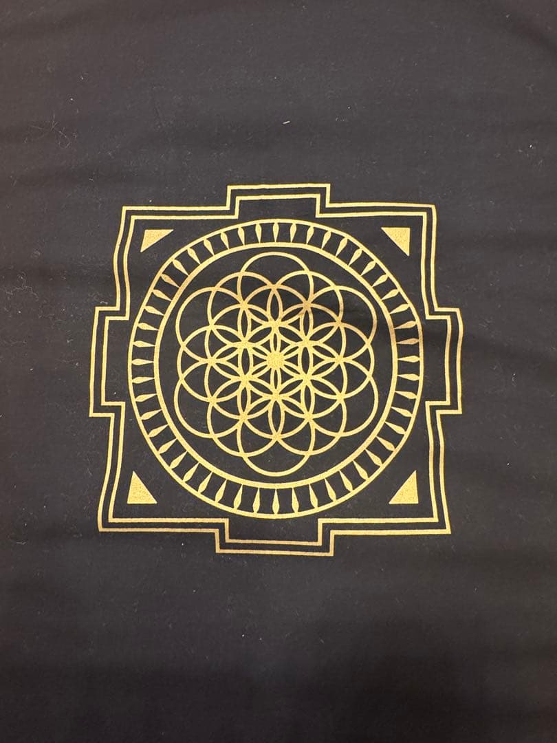 【即日発送】シャクティマット正規品 ブラック オリジナル