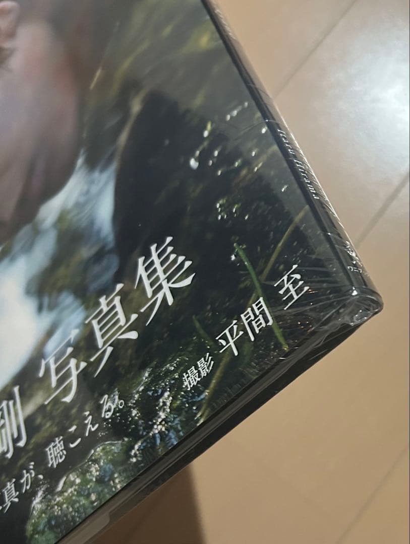 【新品未開封】胎響 綾野剛写真集