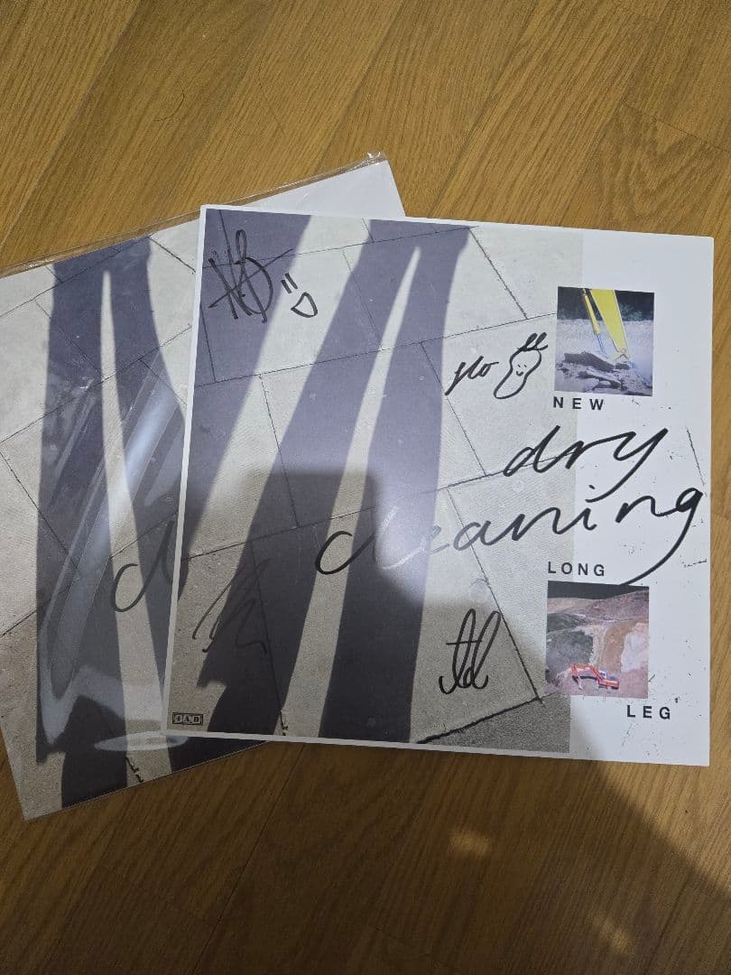 【サイン入り】Dry Cleaning NEW LONG LEG レコード